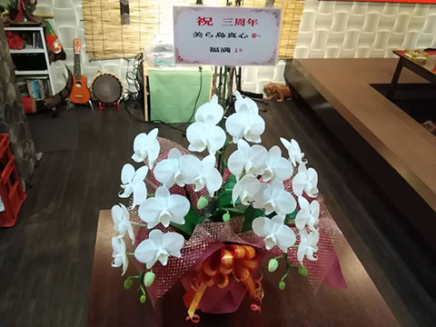 【美ら島 真心】3周年