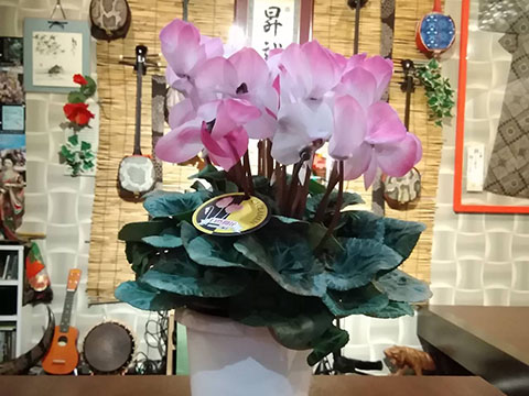 【美ら島 真心】3周年